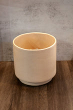 Load image into Gallery viewer, Cone Planter