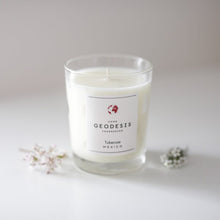 Load image into Gallery viewer, Geodesis scented candle