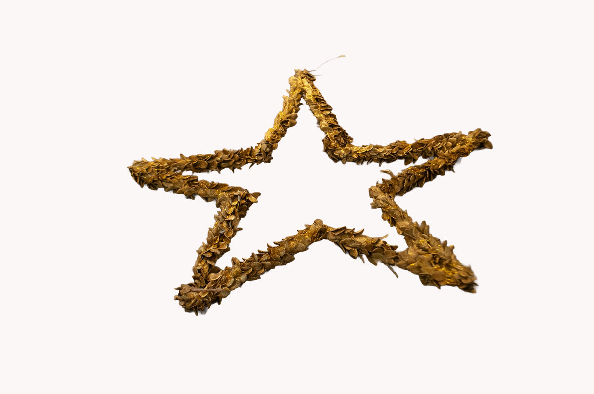 Hanging Stars