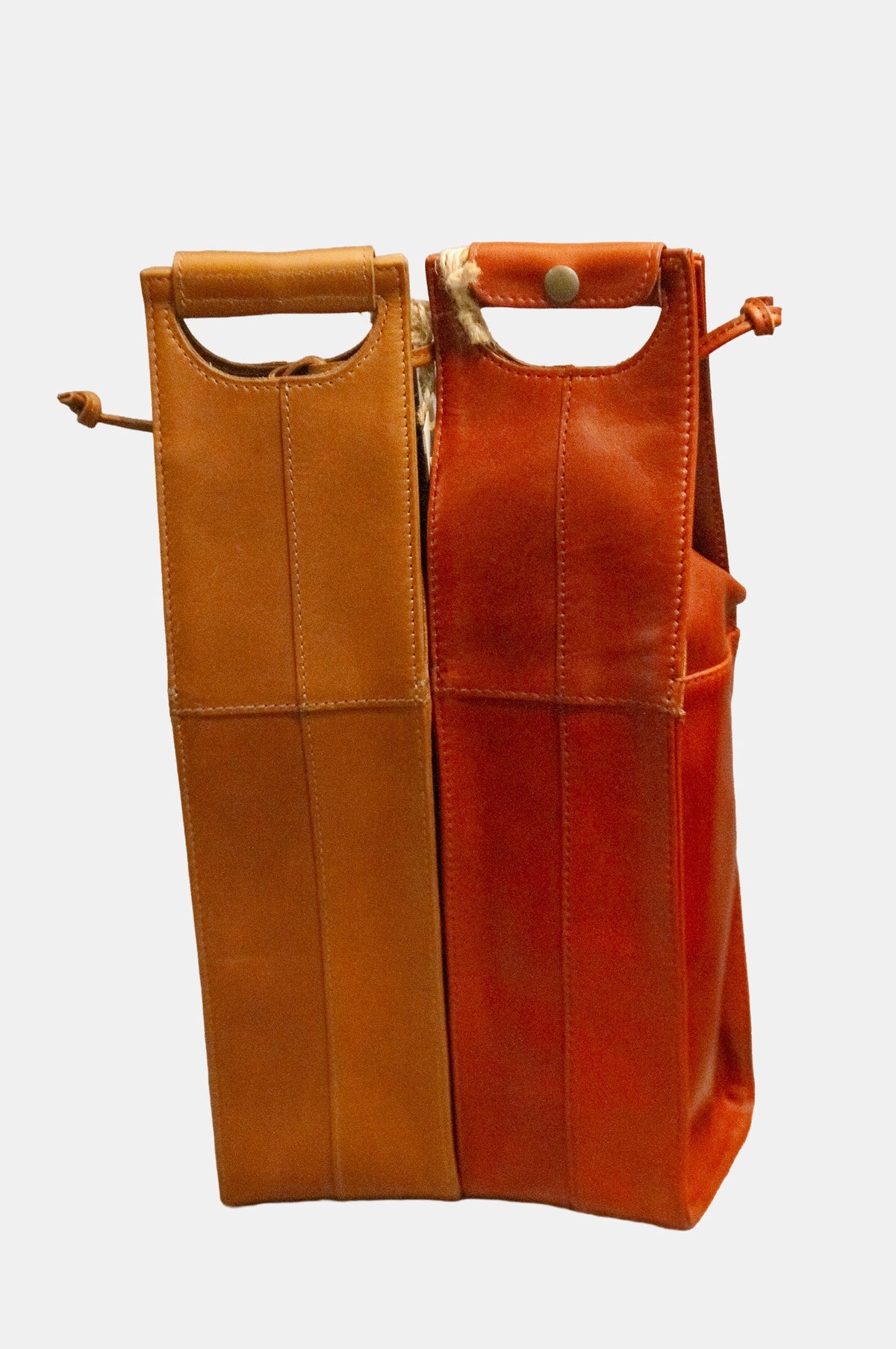 Pinotage 1 Wine Carrier