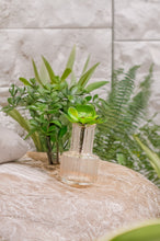 Load image into Gallery viewer, Clear Bud Vase
