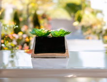Load image into Gallery viewer, Budvase Coal
