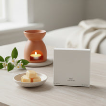 Load image into Gallery viewer, Wick Fragrances Scented Wax Melts 100gr
