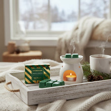 Load image into Gallery viewer, Stone Glow Botanical Soy Wax 3 Melt
